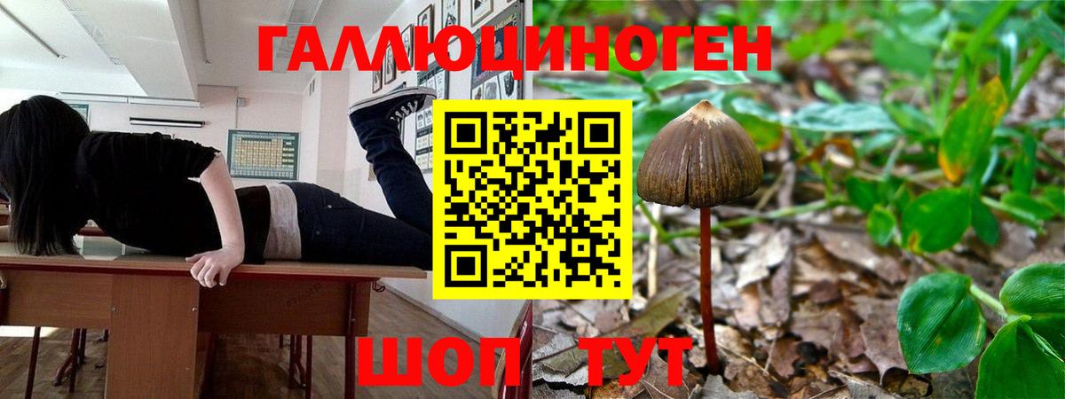 Галлюциногенные грибы ЛСД  Вход с VPN  Кизляр 