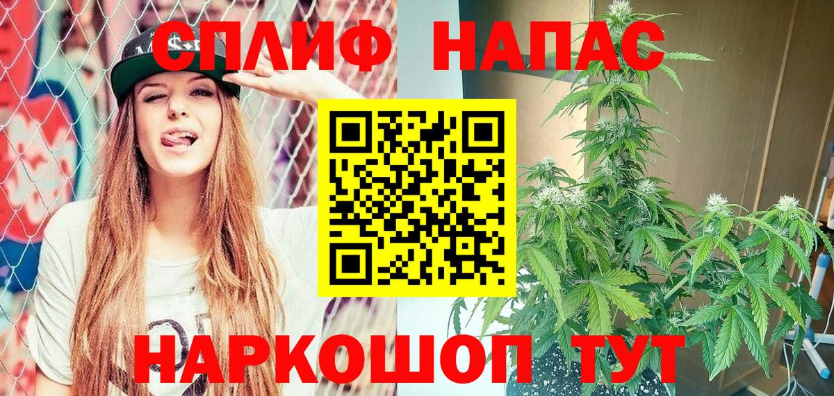 Шишки марихуана гибрид Кизляр